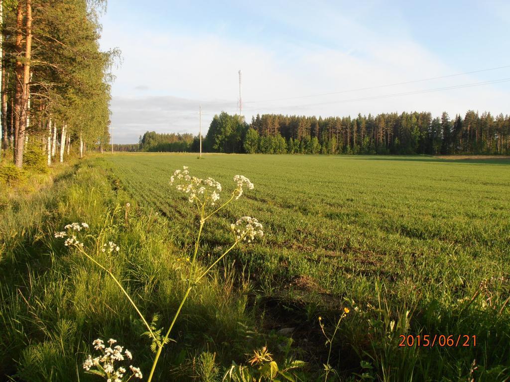 Kalliomajat Ylivalli ภายนอก รูปภาพ
